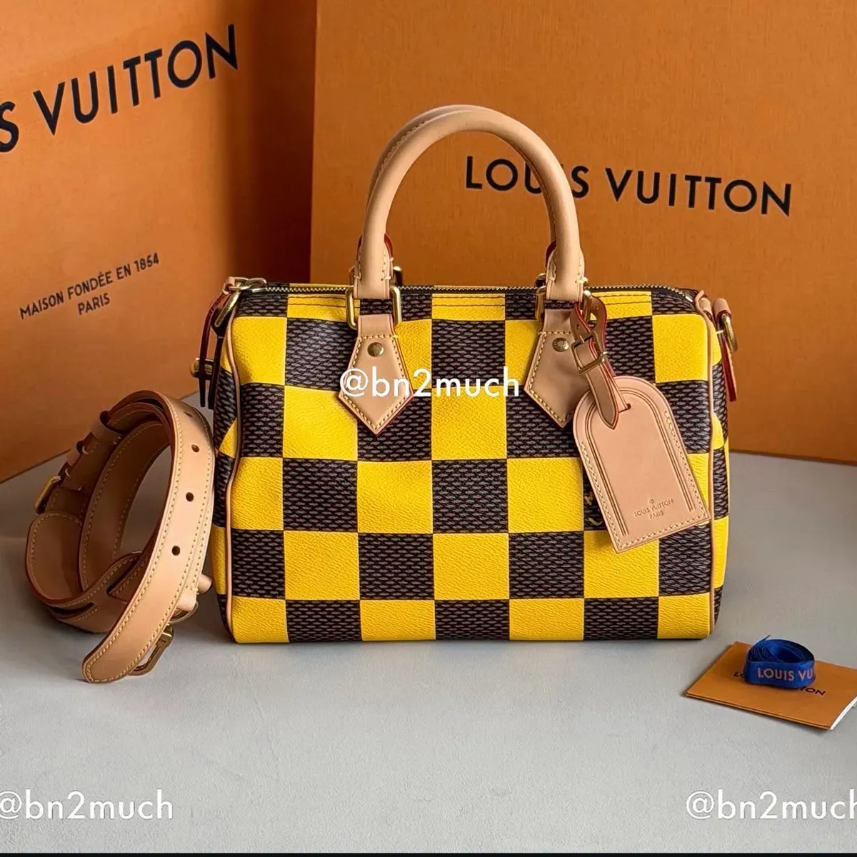LV Speedy 25 Bandoulière Damier Pop Microchip